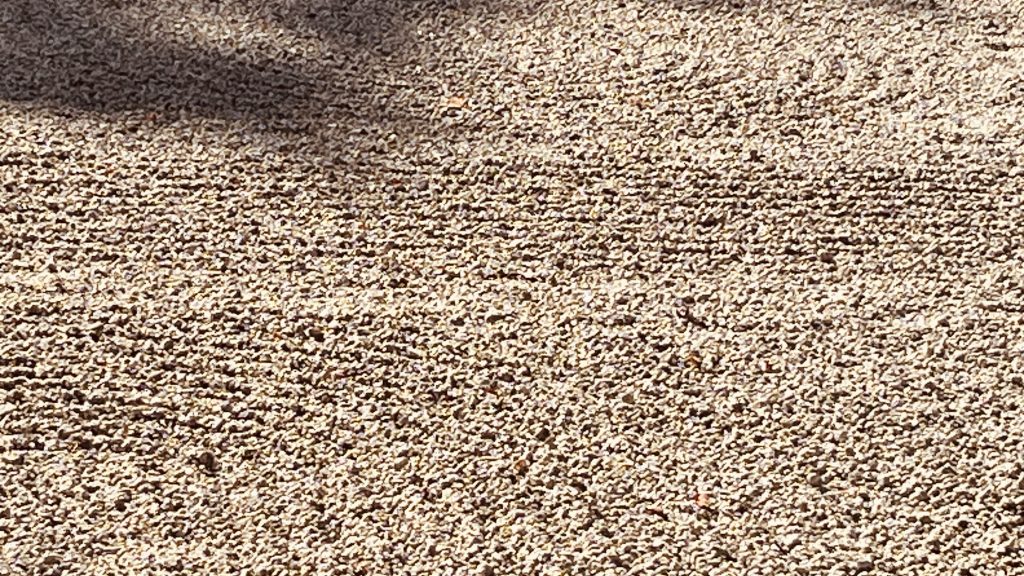 京都 金地院 鶴亀の庭