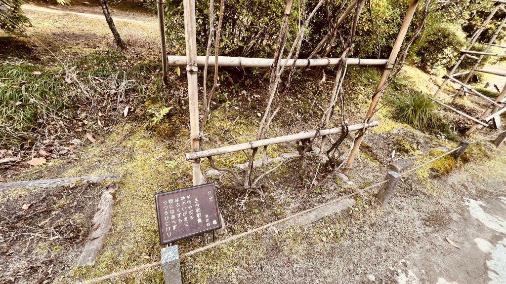 京都・平安神宮の神苑にある草木の名前と文学作品が書かれた案内札