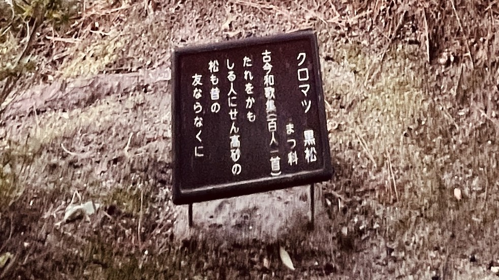 京都・平安神宮の庭にある、古今和歌集や百人一首と草木を結びつけた案内札