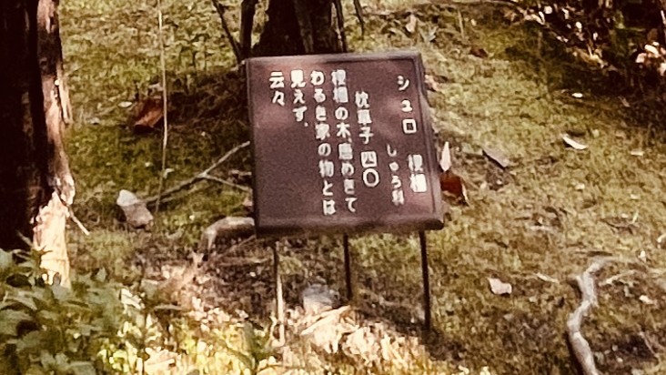 京都・平安神宮の神苑にある『枕草子』に登場する草木を紹介する案内札