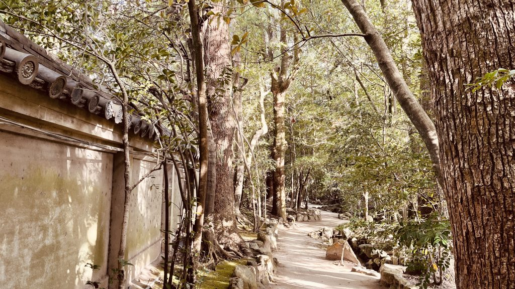 京都・平安神宮の神苑で、垣根と木々に囲まれた静かな庭の小道