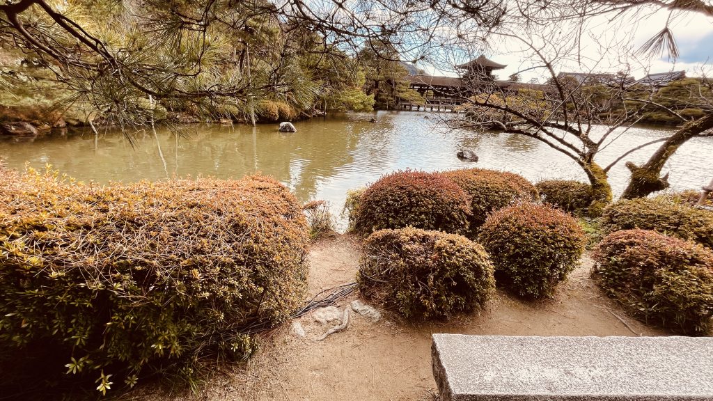 京都・平安神宮神苑の池と低く刈り込まれた庭木が広がる、石のベンチ越しの静かな景色