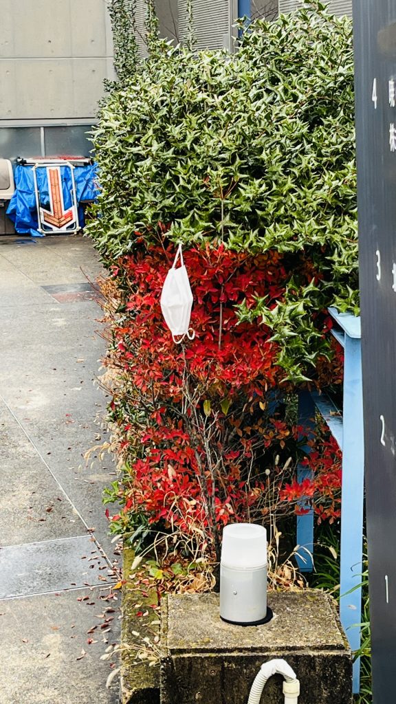 低い木の枝にそっと掛けられた落とし物のマスク