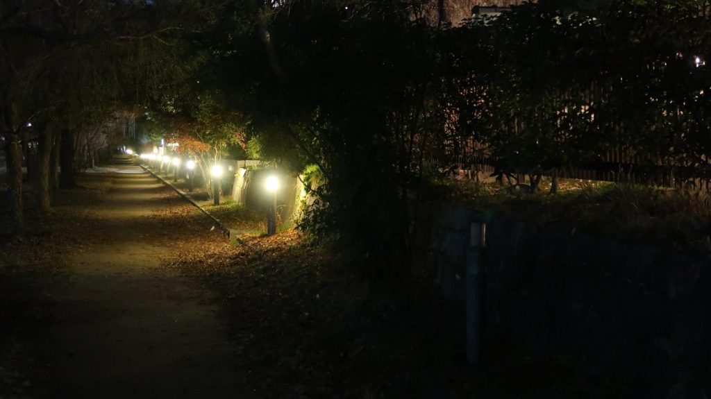 鴨川におりたところ。隣接するお店の灯りが並ぶ