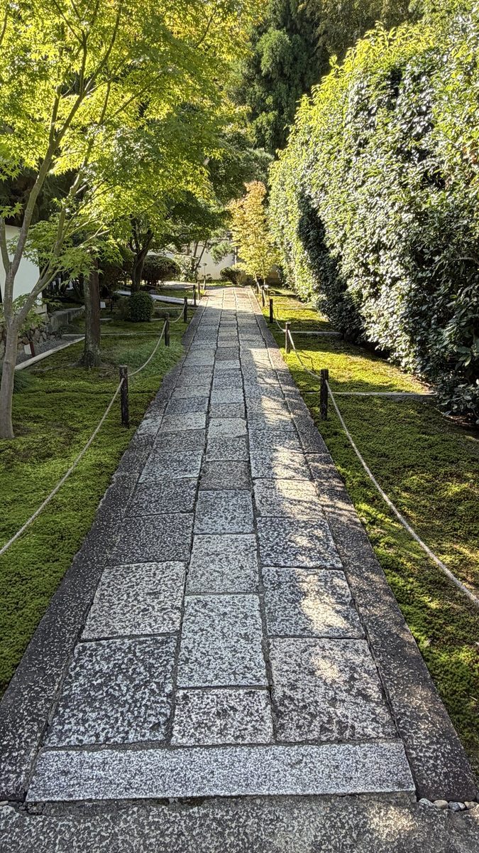 苔と生垣にはさまれた芬陀院の石畳の参道