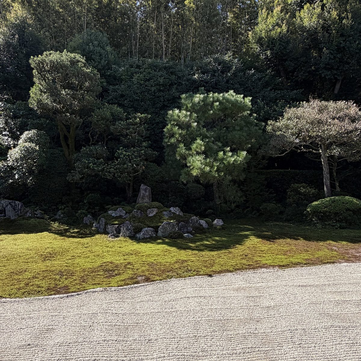 鶴亀の庭の亀島の石組