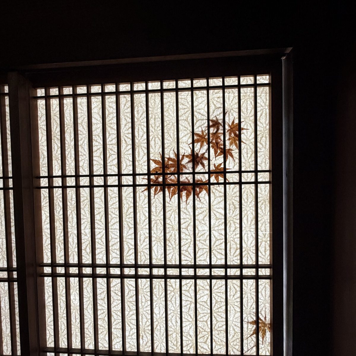 格子窓の障子にはさまれた赤い紅葉