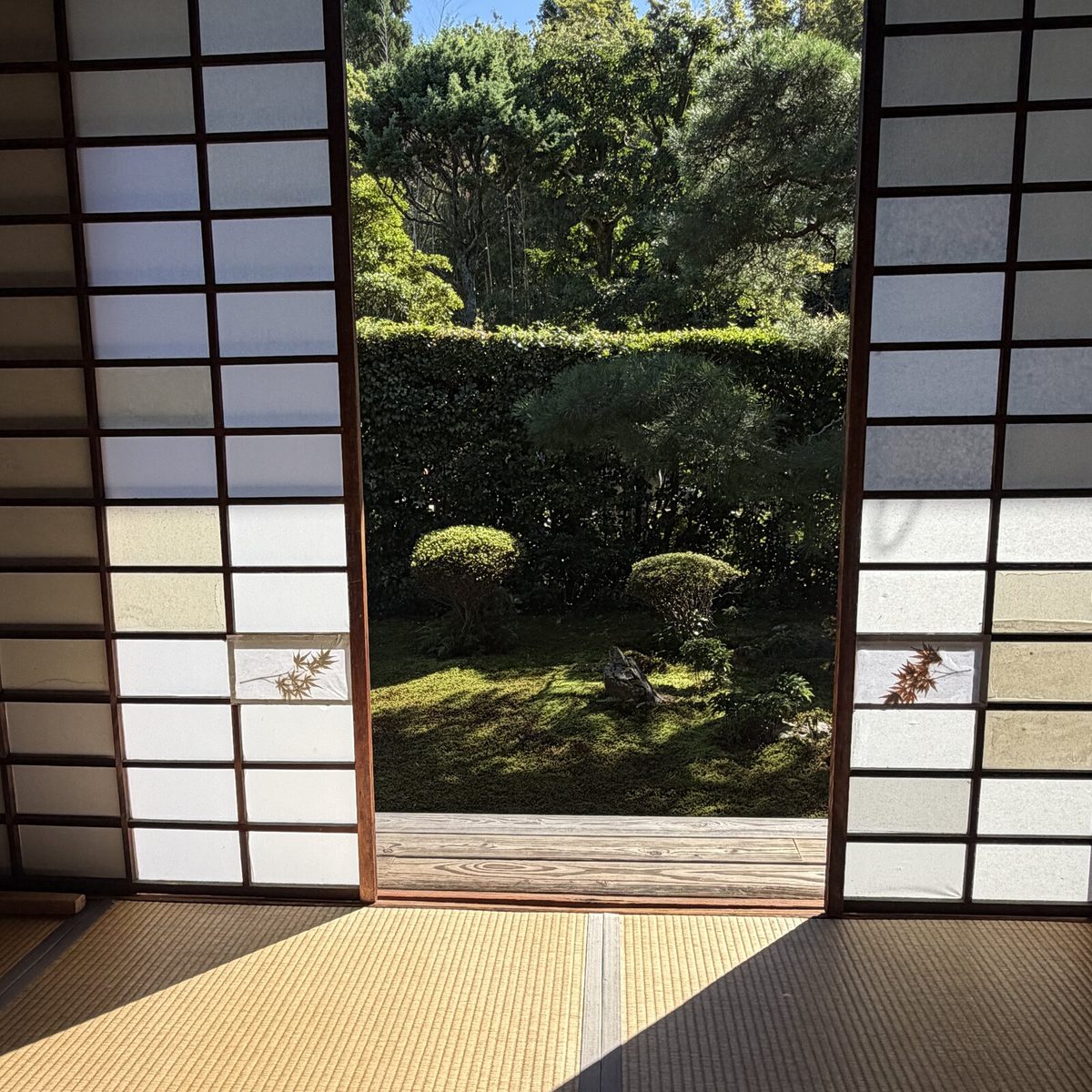 障子のあいだから見える東庭と、取っ手の紅葉
