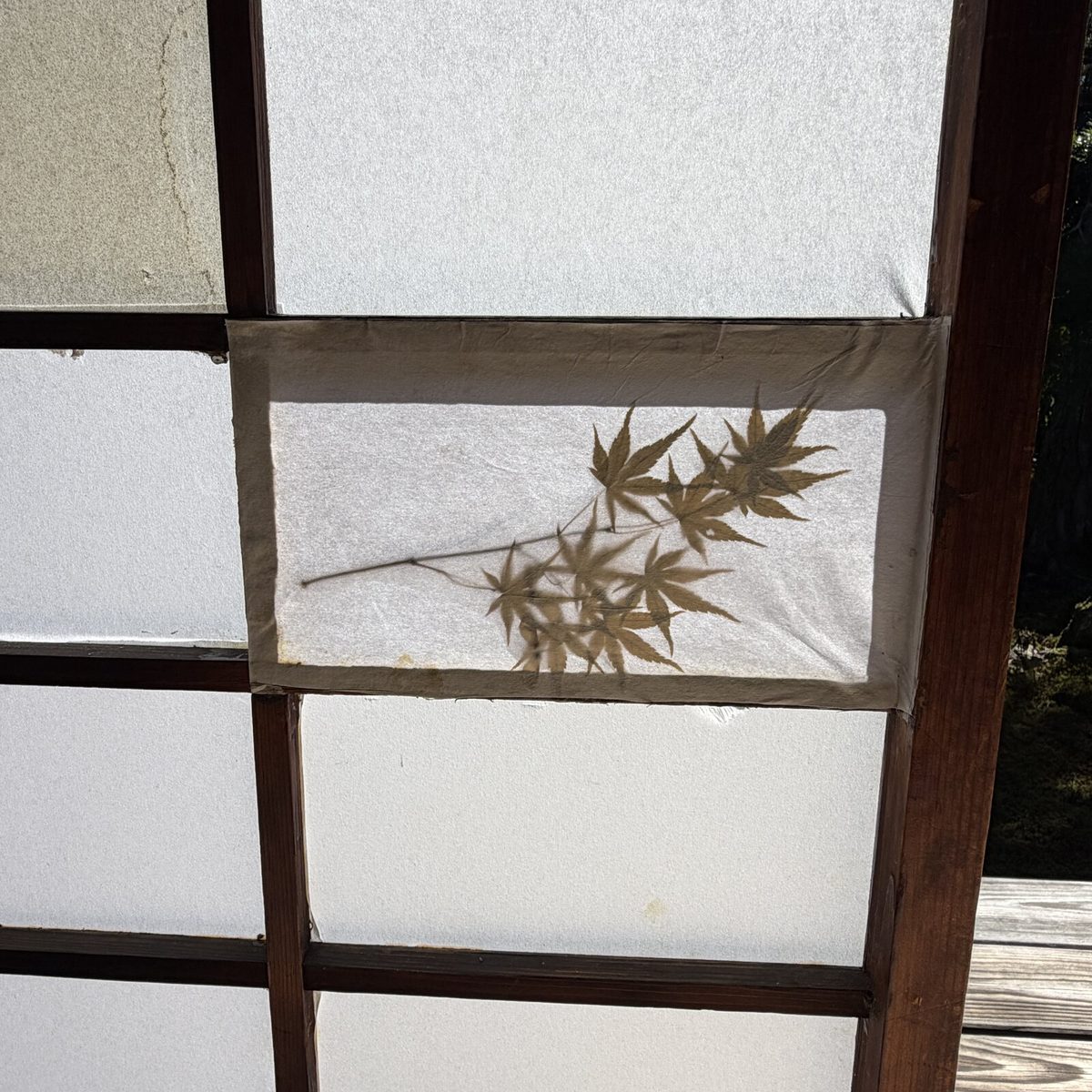 障子の取っ手部分にとじこめられた紅葉