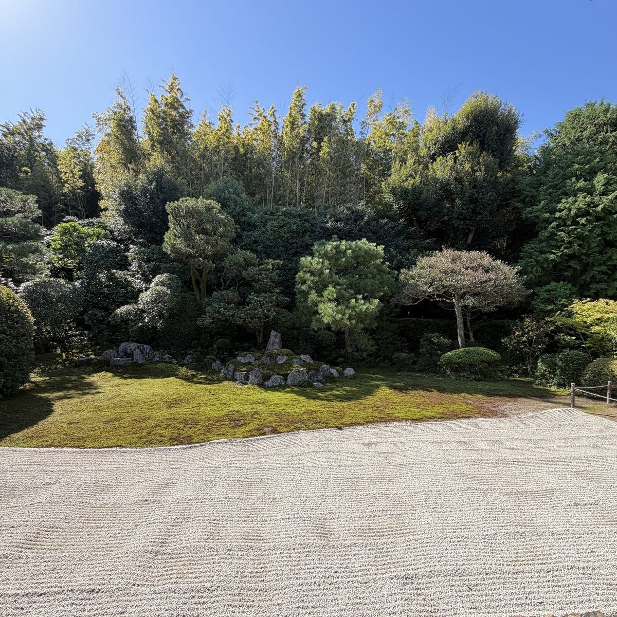 竹林と木立に囲まれた鶴亀の庭