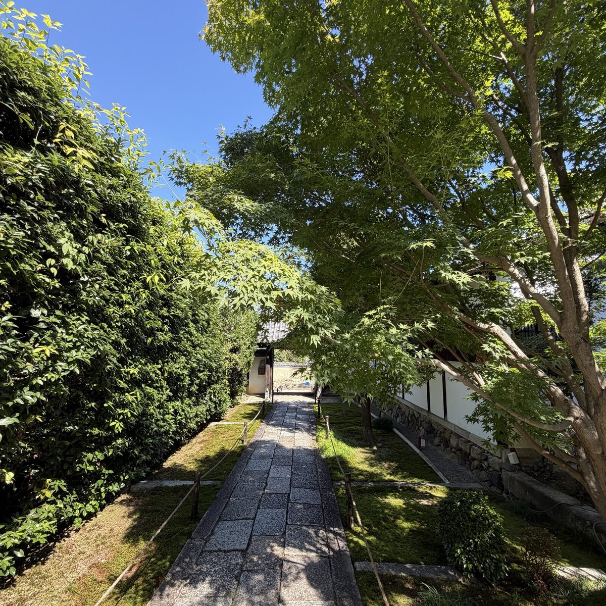 門へ続く帰り道の石畳の参道
