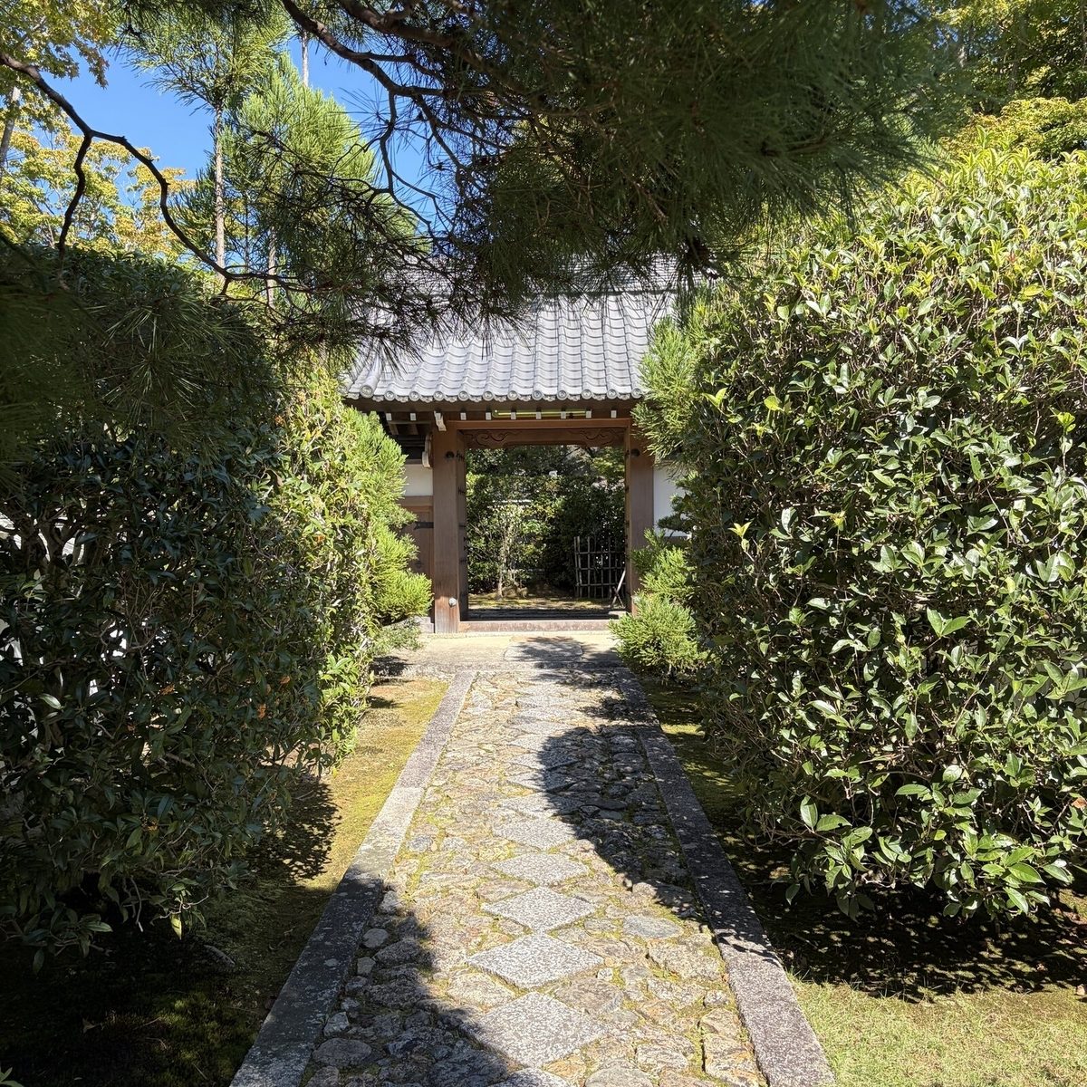 生け垣にはさまれた参道と門