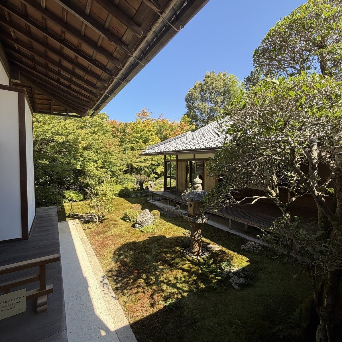縁側から見た鶴亀の庭
